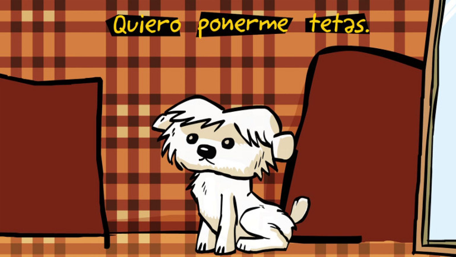 Putokrío contra la cirugía estética - Ver ahora