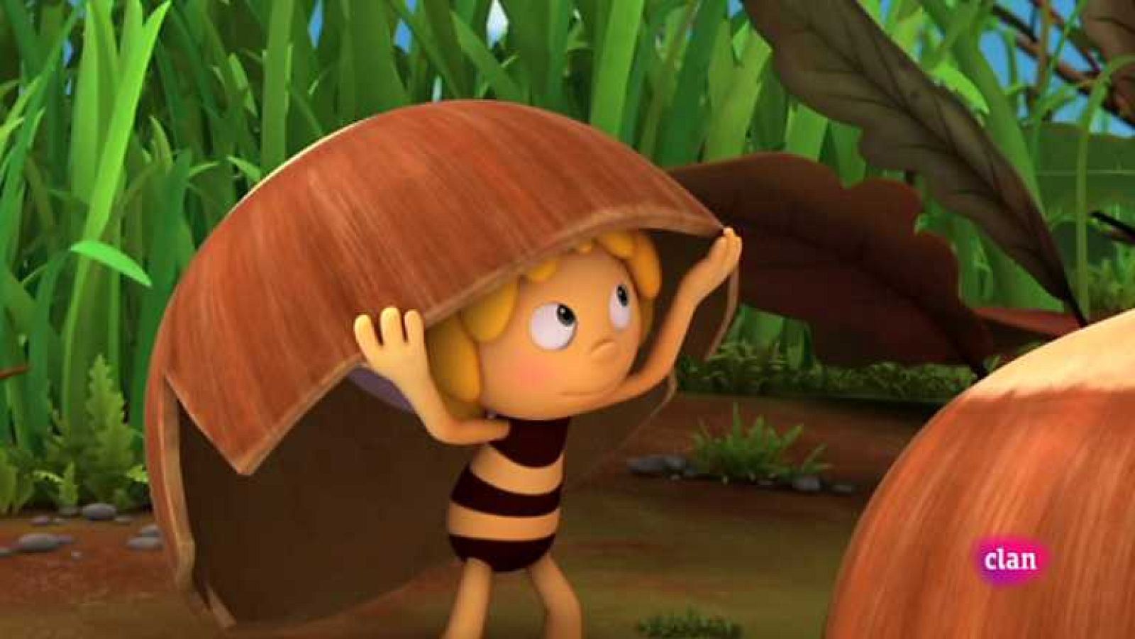 Un amigo para el roble - Maya | Ver