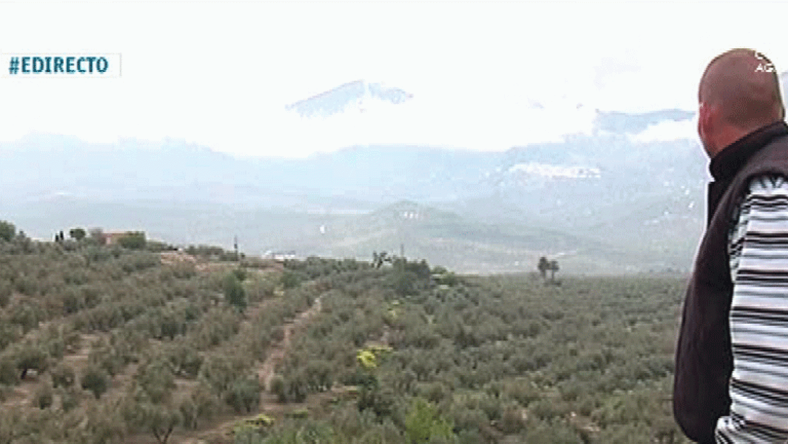 España Directo- Tras la temporada de la aceituna de Jaén, sube el paro