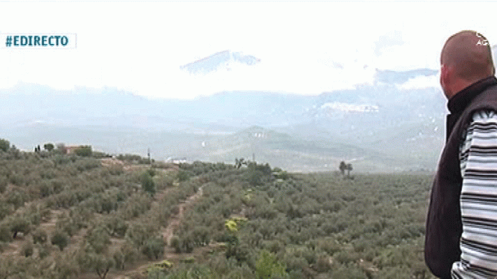 España Directo - Tras la temporada de la aceituna de Jaén, sube el paro