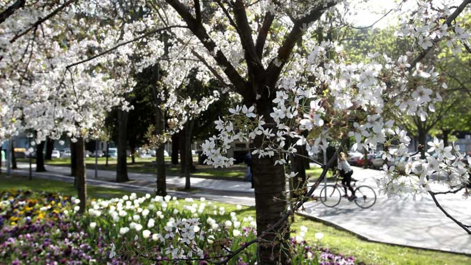 Fuertes lluvias en áreas de Andalucía y noreste peninsular
