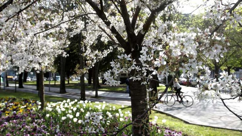 Fuertes lluvias en áreas de Andalucía y noreste peninsular