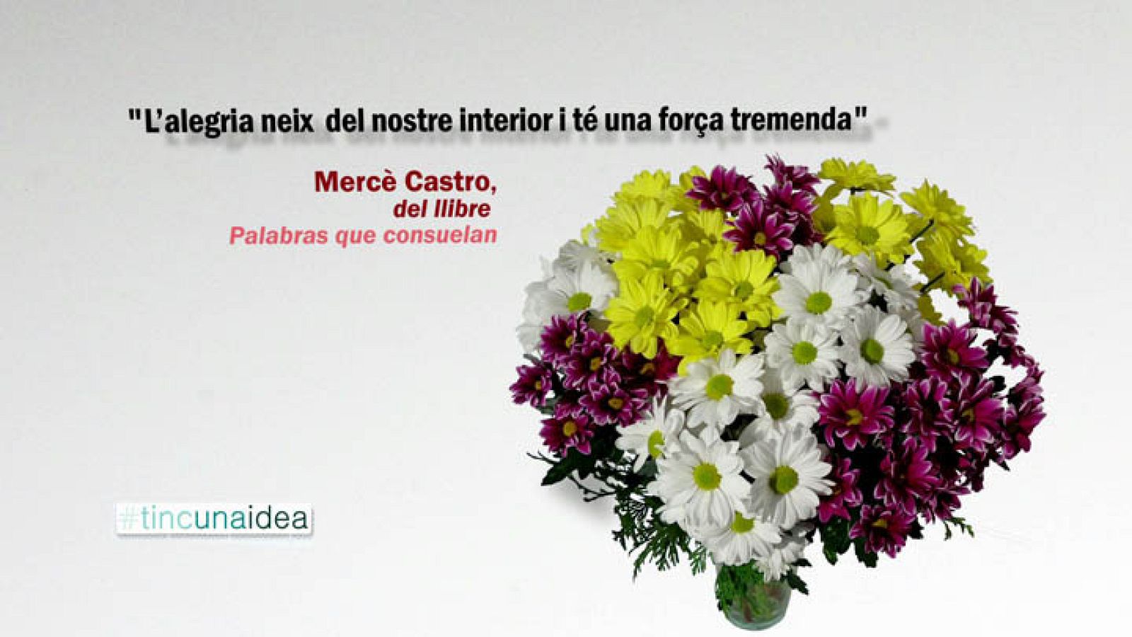 Tinc una idea - TUI - Mercè Castro