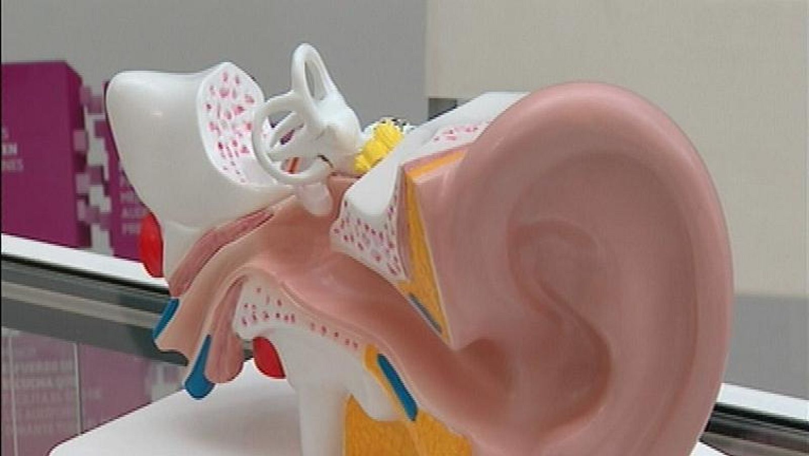 Panorama Regional - 04/04/14 | Ver