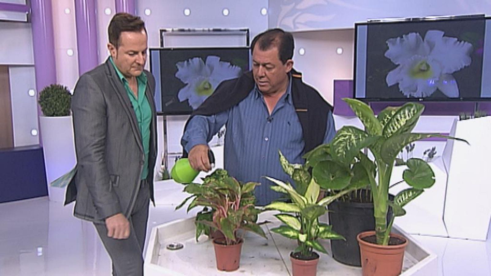 Cerca de ti - 04/04/14 - Cerca de ti | Ver