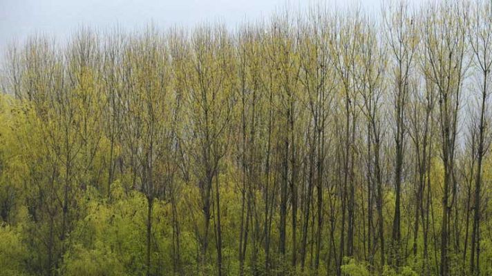 El tiempo - Lluvia en la mitad norte