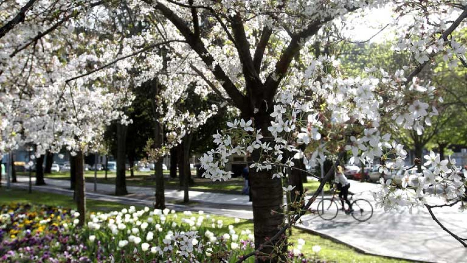 Ascenso notable de las temperaturas en el noroeste peninsular