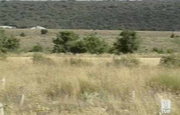 Informe Semanal - Objetivo Numancia