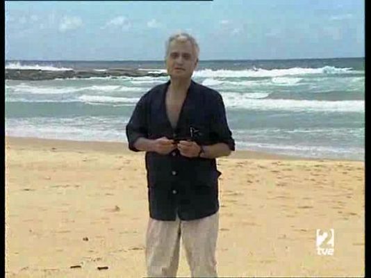 Índico - Tigres contra leones. Sri Lanka