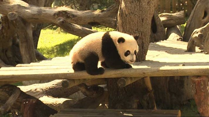 Informativo de Madrid - Informativo de Madrid 2 - 09/04/14