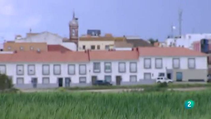 Aquí hay trabajo - El negocio de las bodas