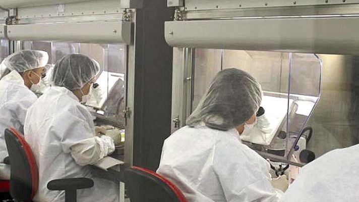 Telediario 1 - Un científico español logra desarrollar una técnica pionera para crear órganos humanos en el cuerpo de un animal