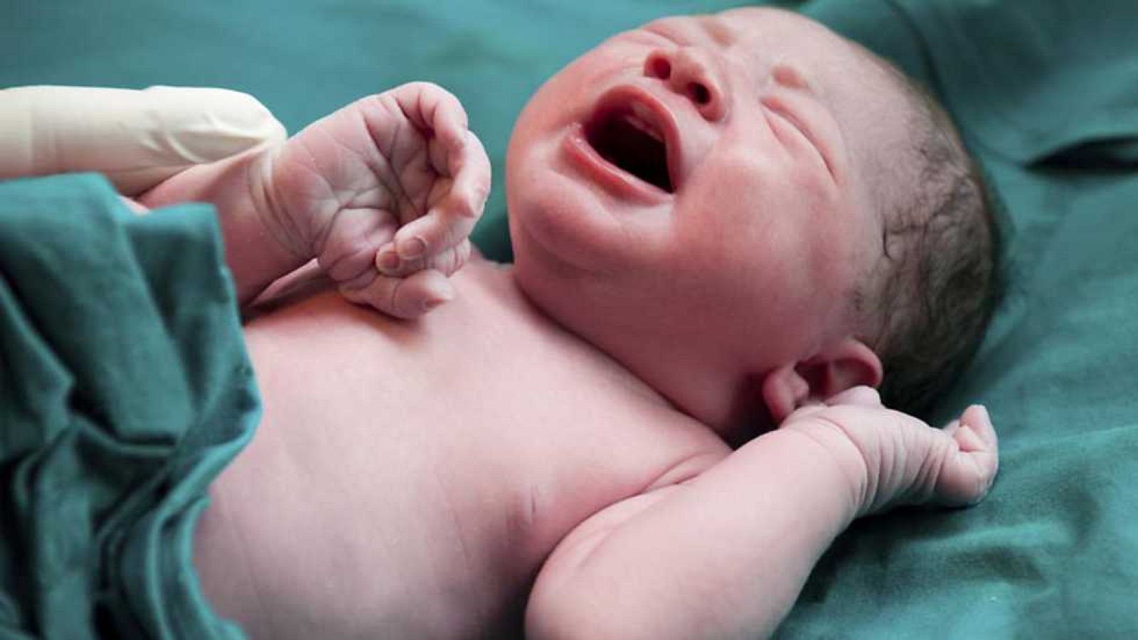 Docufilia - En el interior del cuerpo humano: Cómo sobrevivir - ver ahora