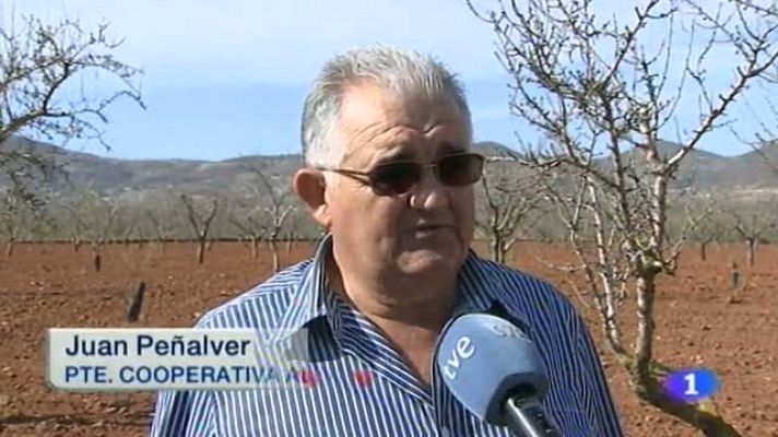 Noticias Murcia - La Región de Murcia en 2 - 11/04/2014