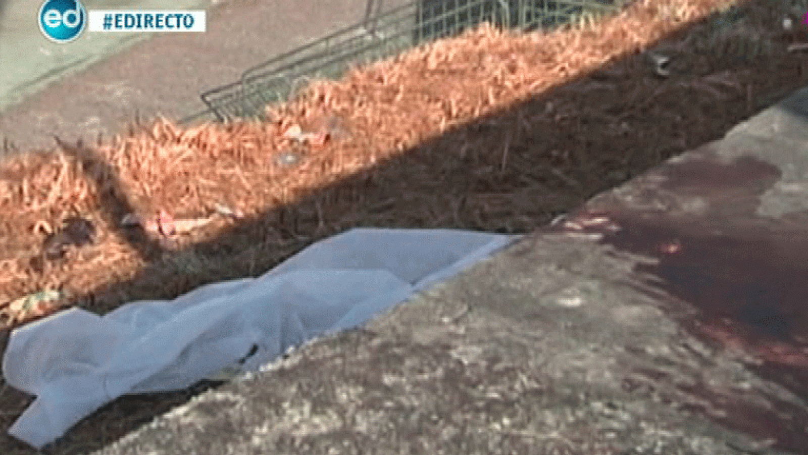 España Directo- ¿Qué hacía Fernando en casa de una pareja de jubilados?