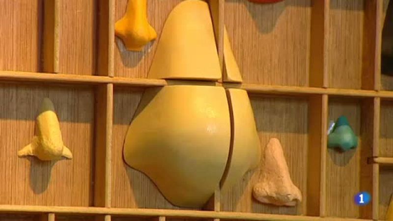 Vistem una exposició... de nassos!