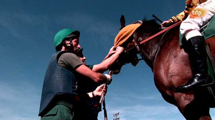 Turf - Turf - 13/04/14