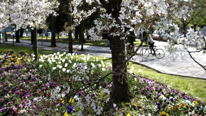 Informativo de Madrid - El tiempo en la Comunidad de Madrid - 14/04/14