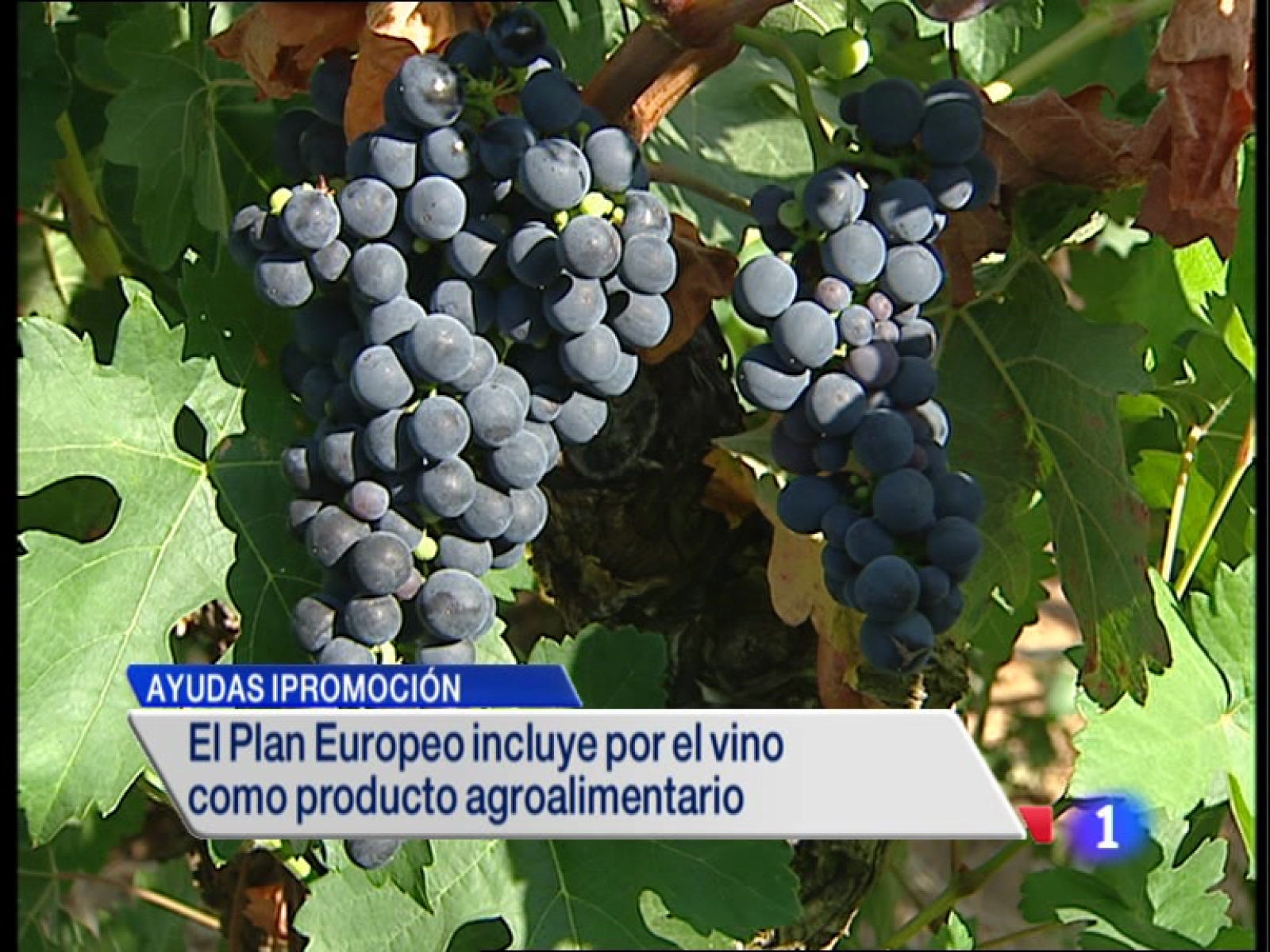 Telerioja en 2' - 14/04/14 | Ver