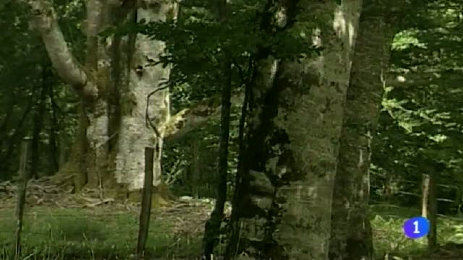 Telenavarra 2 - 14/04/2014 | Ver