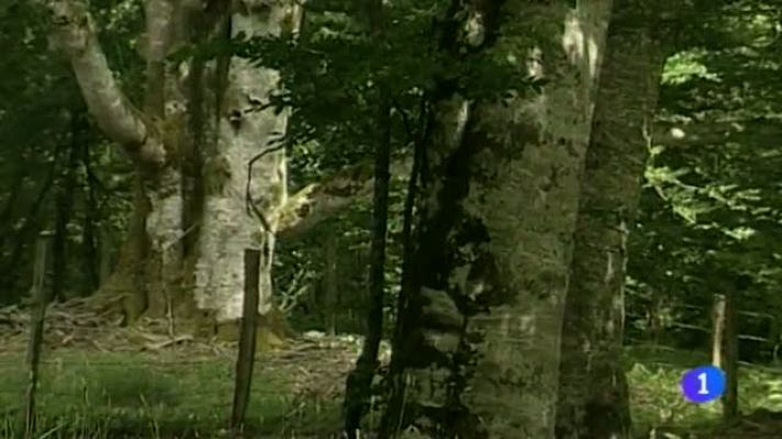 Telenavarra - Telenavarra 2 - 14/04/2014