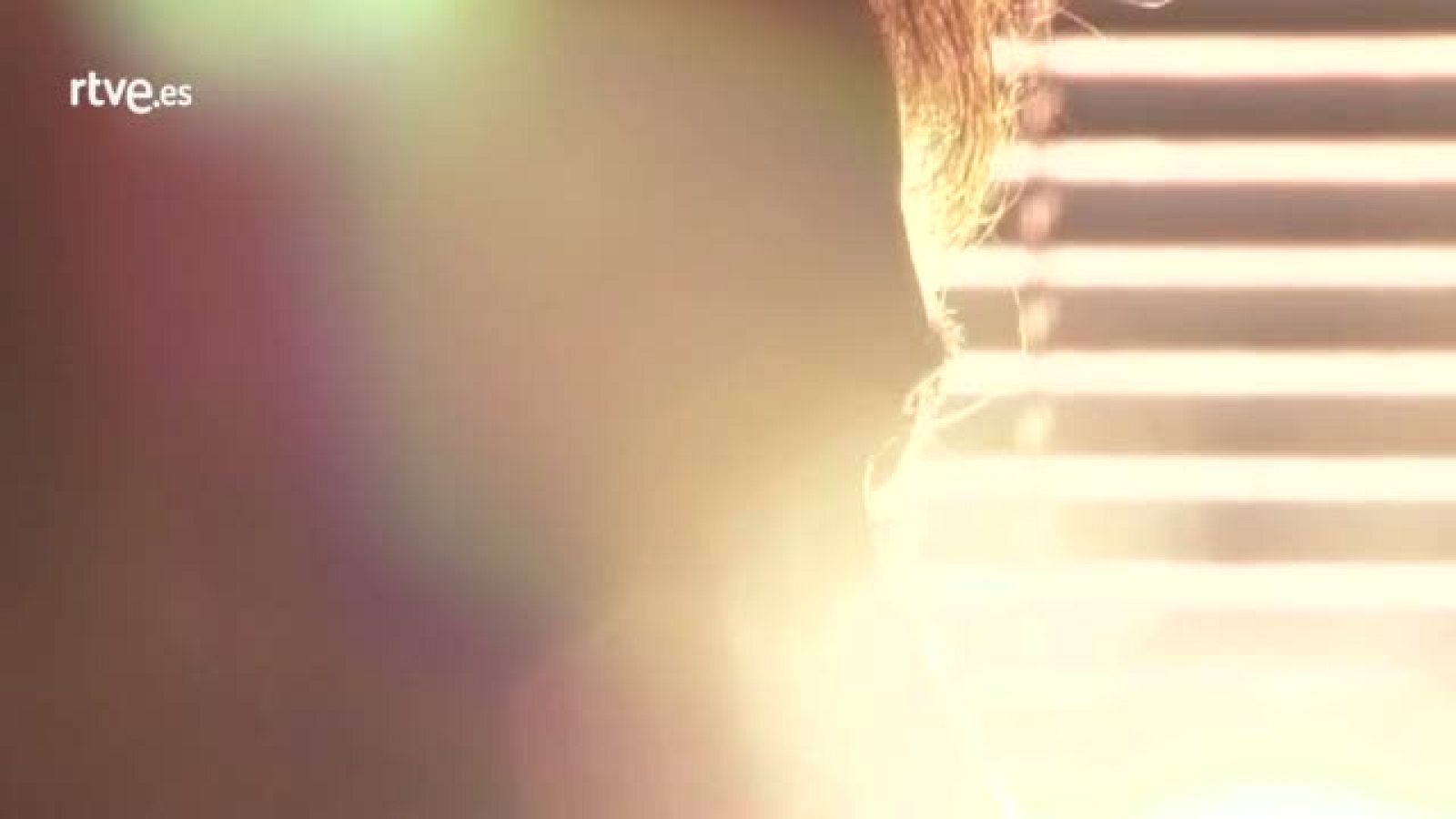 Vanesa Muela - Crónicas | Ver