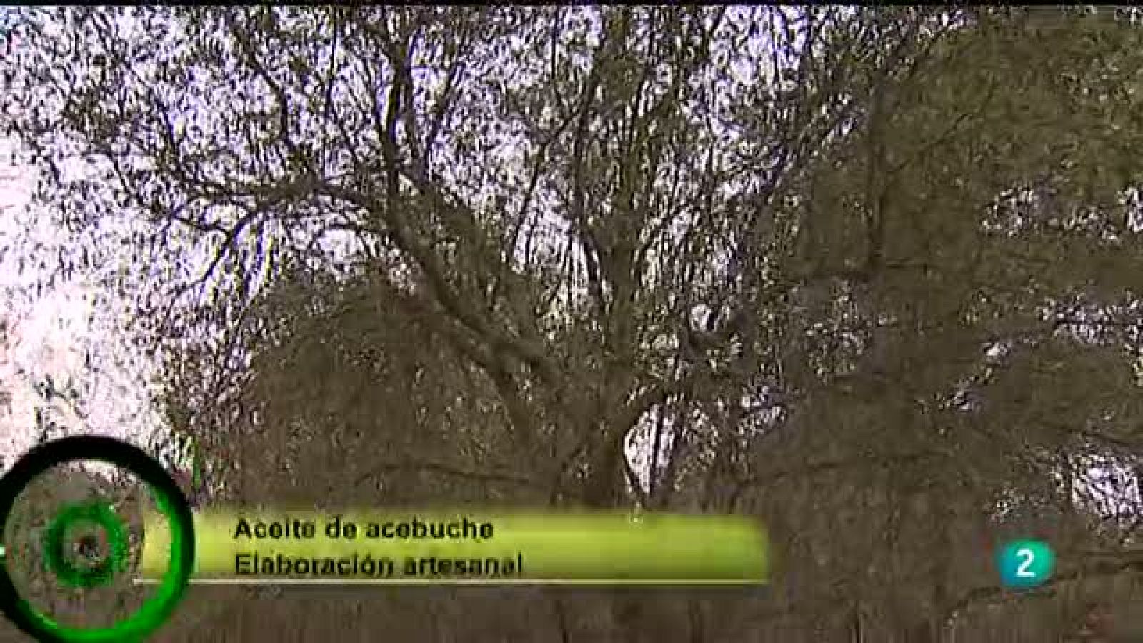 Agrosfera - Con Mucho Gusto - Aceite más caro del mundo