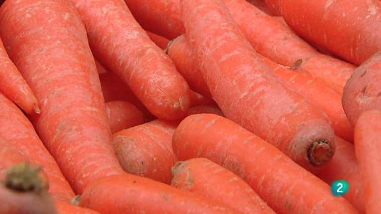 Para todos La 2 - 16/04/14 - ver ahora