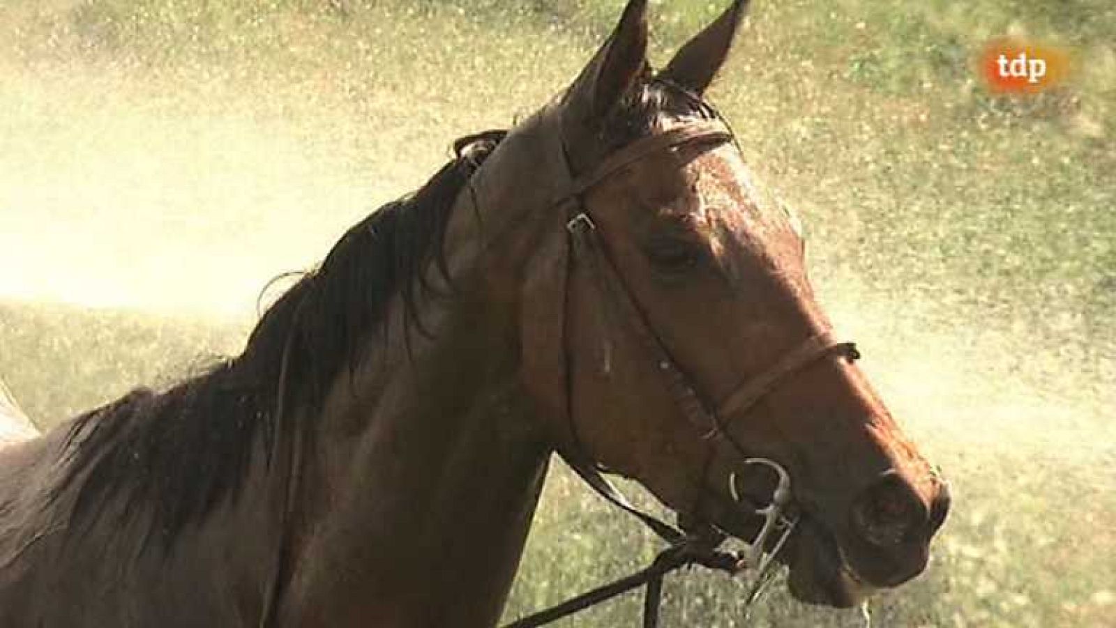 Turf - 18/04/14 - escuchar ahora