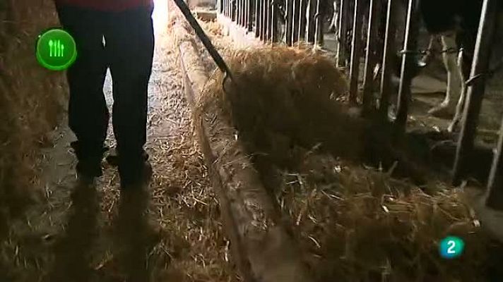 Agrosfera - Cabrales