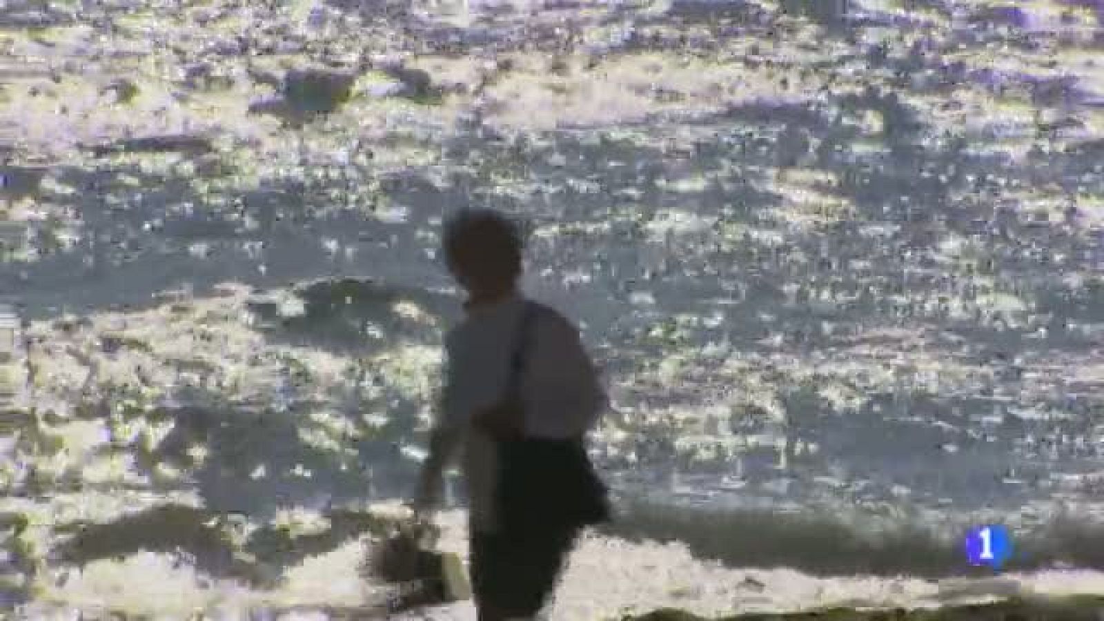 Informatiu Balear - 21/04/14 | Ver