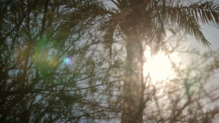  - Enrique Vila-Matas