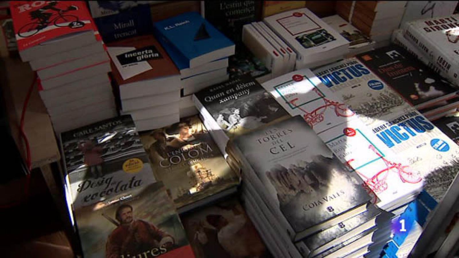 Sant Jordi i els llibres