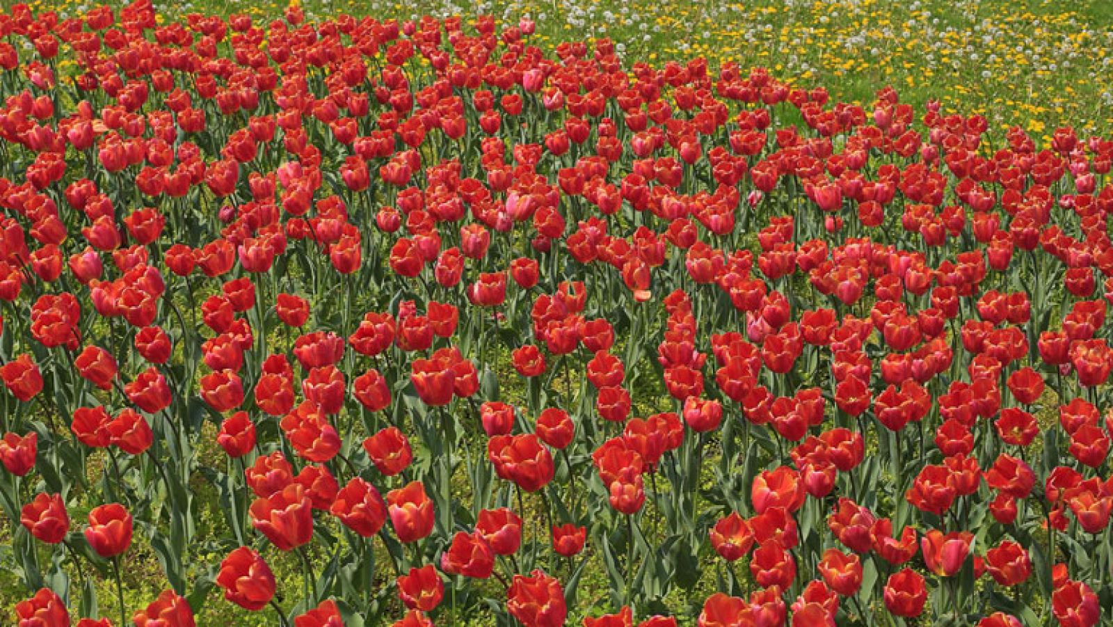 Temperaturas diurnas en descenso en el noroeste e interior noreste de la península