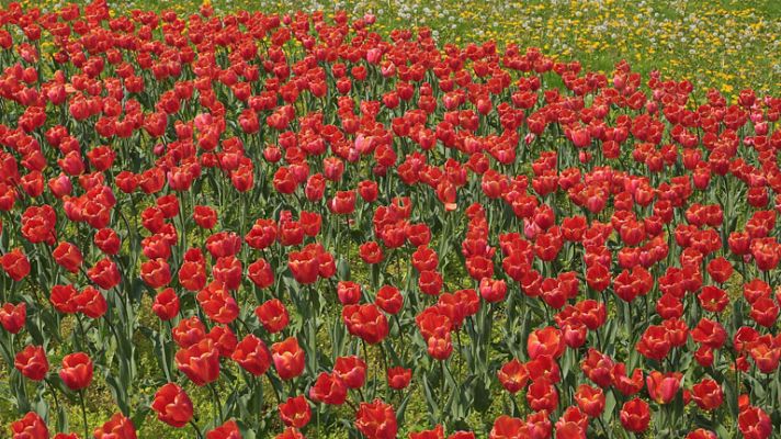 El tiempo - Temperaturas en descenso en el noroeste