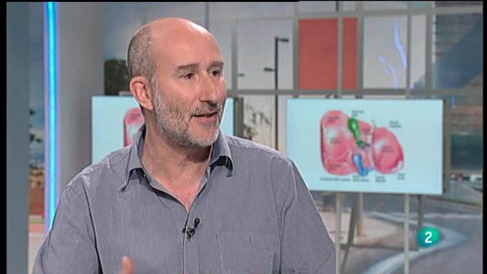 Para todos La 2 - La vesícula biliar