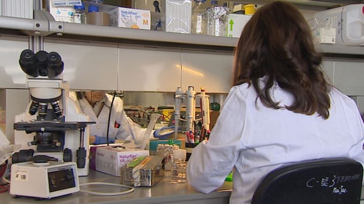 Telediario 1 - Día internacional de la meningitis