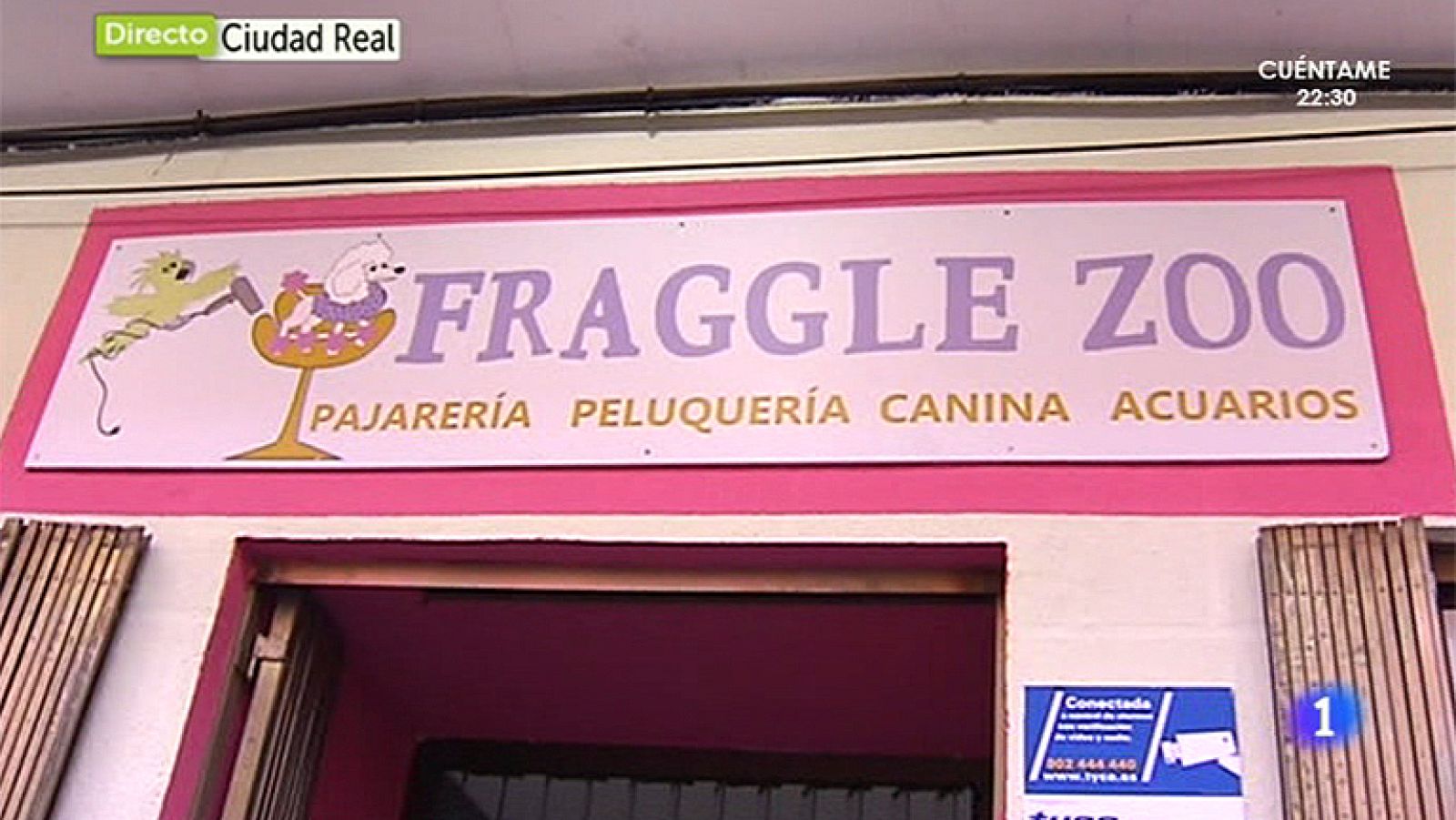 Entre Todos - Manoli abre una peluquería canina en Ciudad Real