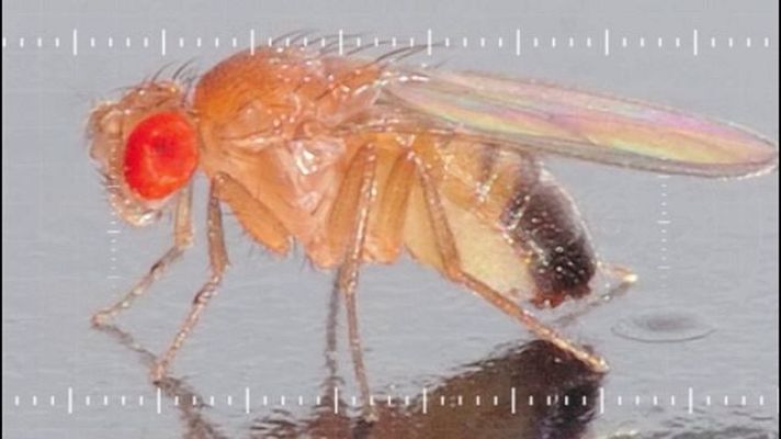 Universo UNED - Madri+d 166