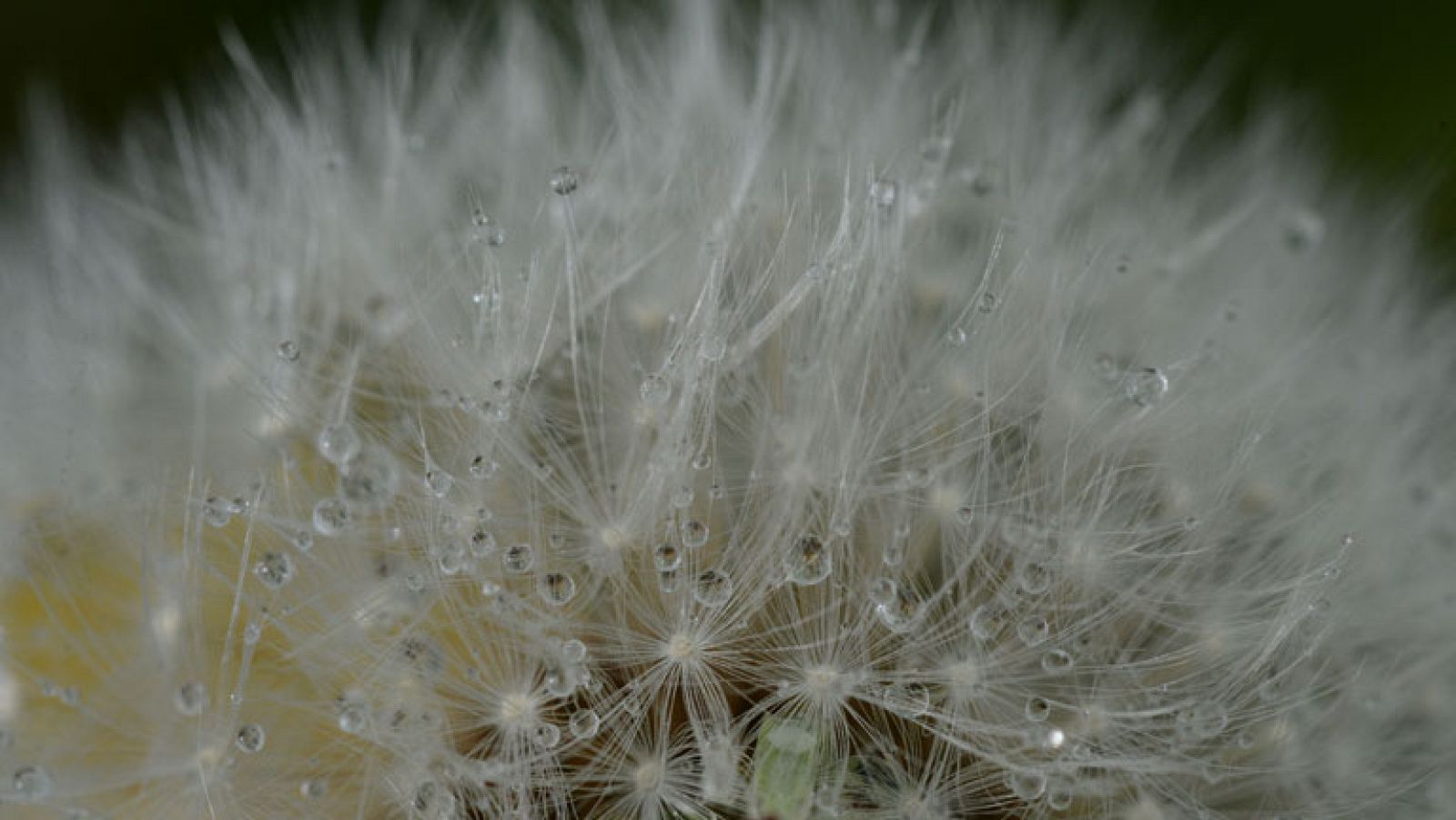 Vientos flojos de componente oeste en la mayor parte de la península y Baleares