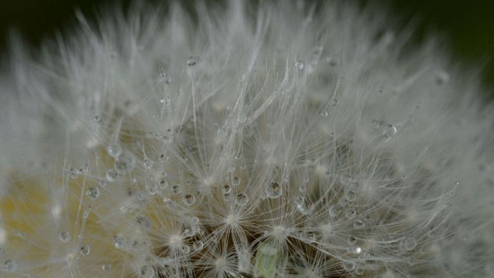 El tiempo - Vientos flojos de componente oeste