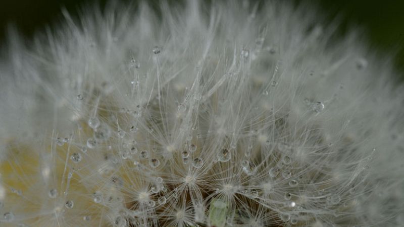 Vientos flojos de componente oeste en la mayor parte de la península y Baleares