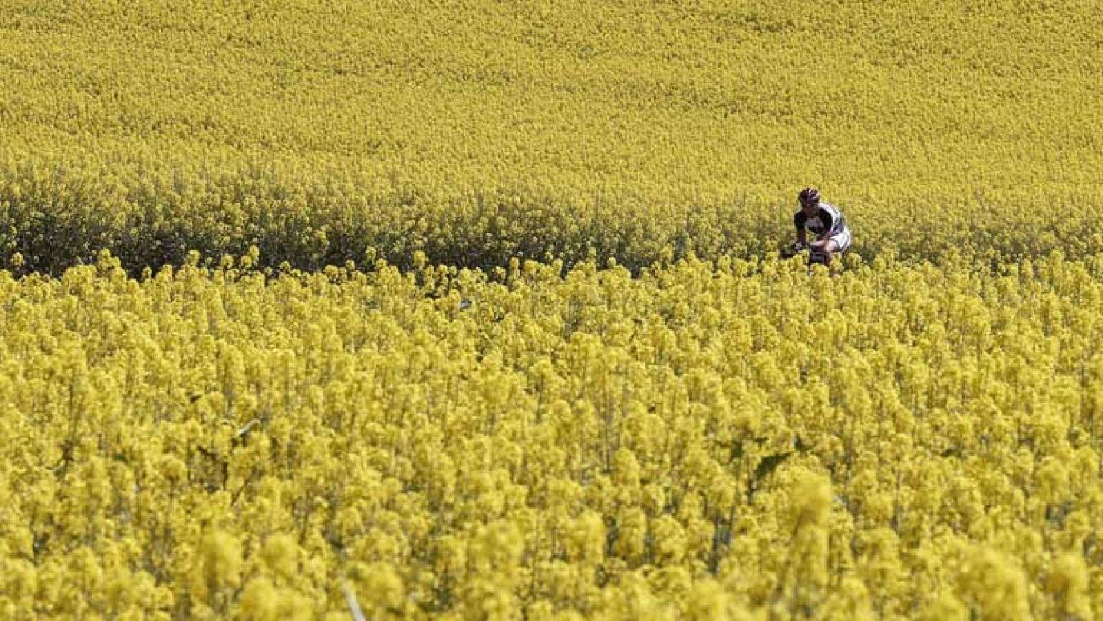 Lluvias en Pirineos y Cataluña y poco nuboso en e resto