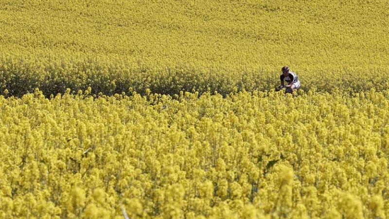 Lluvias en Pirineos y Cataluña y poco nuboso en e resto