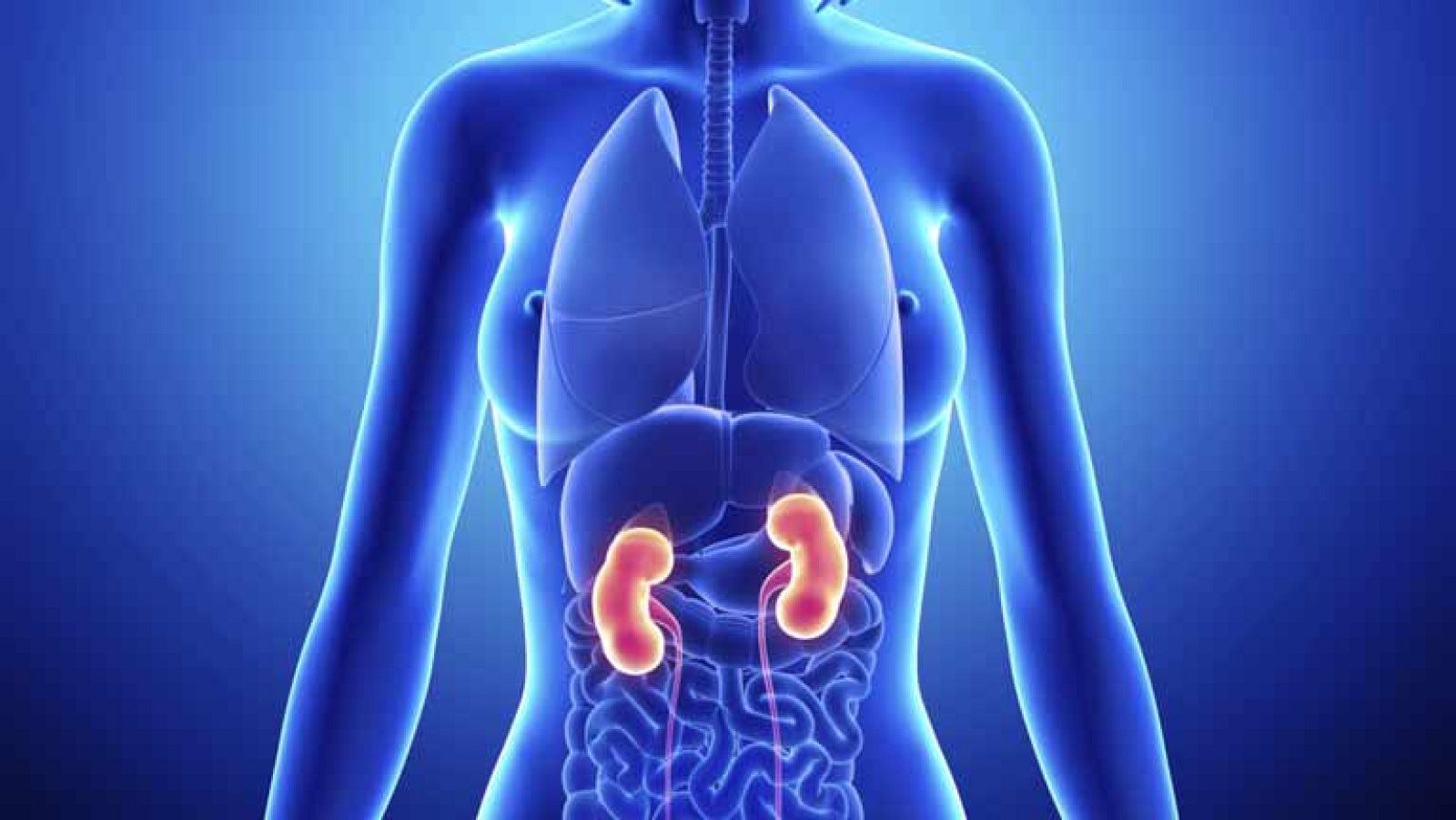 Saber vivir -  28/04/14 - Ver ahora