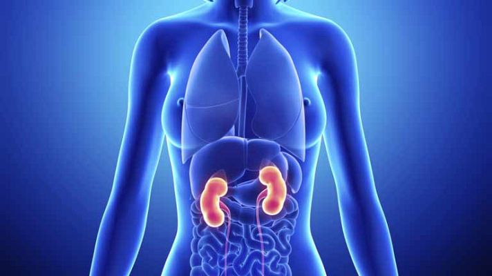 La mañana - Dale buena salud a tus riñones