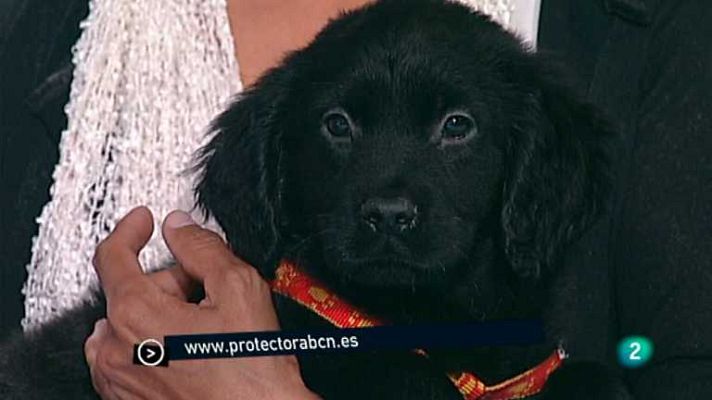 Para todos La 2 - Para todos La 2 - 28/04/14