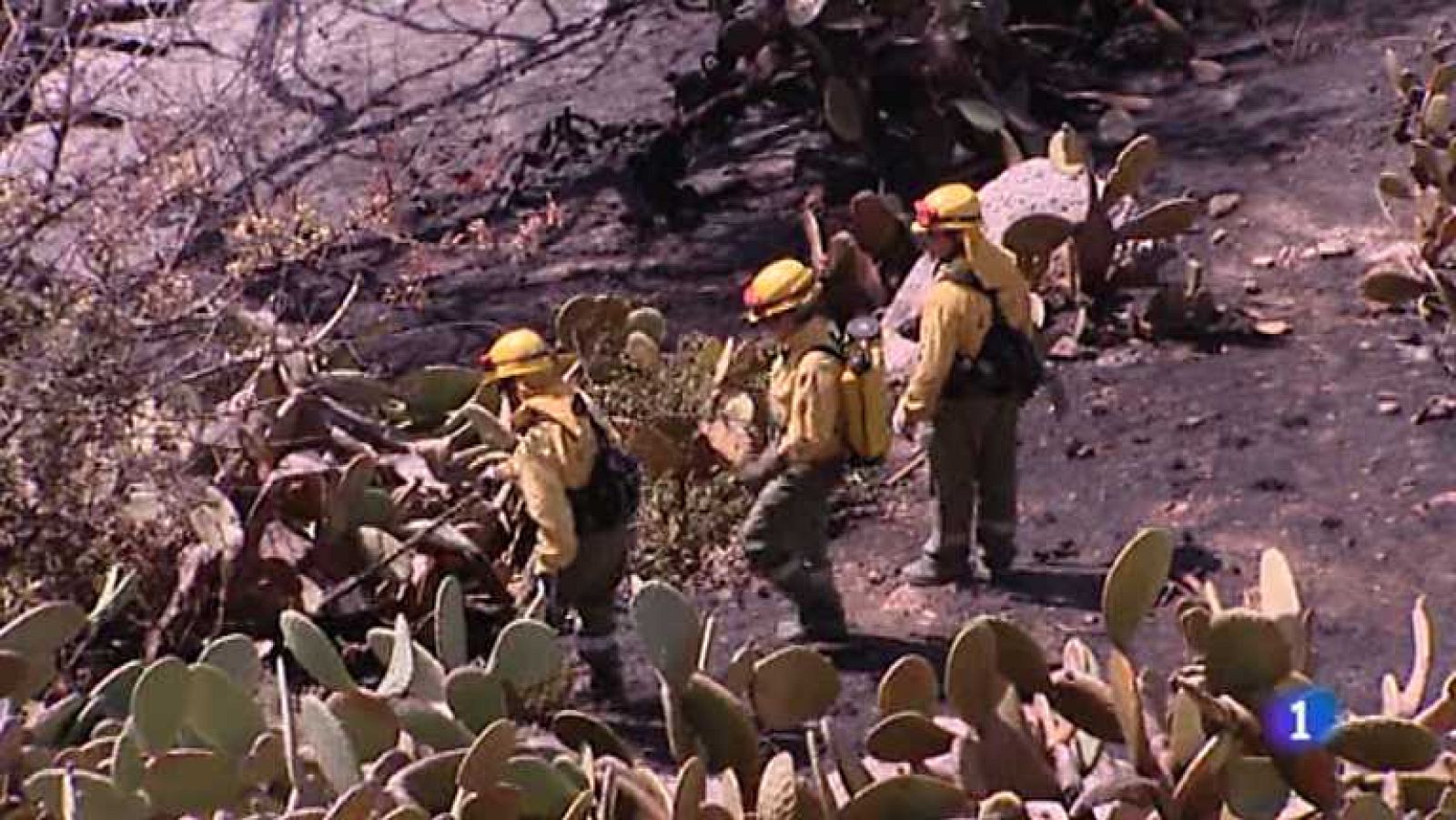 L'Informatiu - Comunitat Valenciana 2 - 28/04/14 - Ver ahora