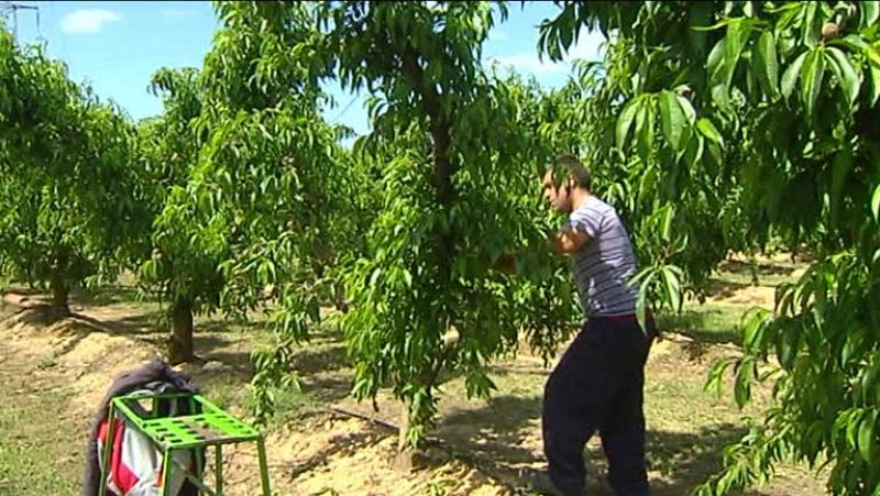 En el primer trimestre el paro bajó en agricultura y subió en industria, construcción y sobre todo, servicios
