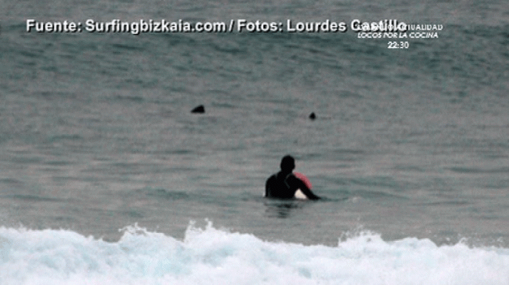 España Directo - Susto en El Sardinero ¿por un tiburón?